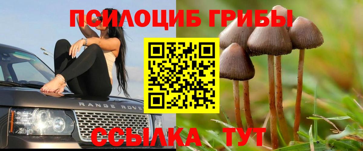 Старая Купавна  Галлюциногенные грибы прущие грибы  где продают   Вход с VPN 