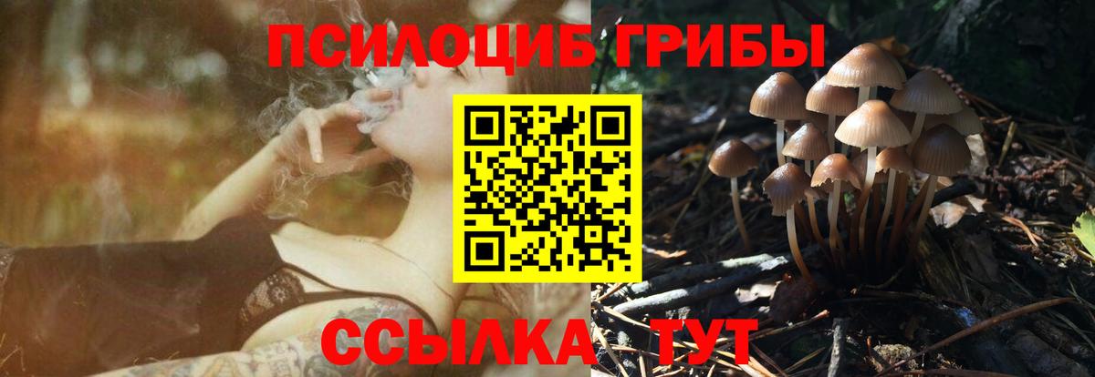 Псилоцибиновые грибы ЛСД Старая Купавна